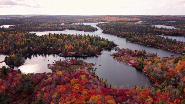 Aerial View, a red-tinted forest surrounds a pristine lake in Halifax quiet outskirts. Nova Scotia parks in fall offer a timeless view of Canada natural brilliance in peak foliage season.