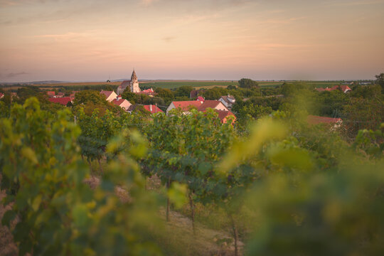 Scenic sunset view of St. Wolfgang Church in Hnanice, South Moravia, framed by blurred green vineyard leaves near Podyji National Park.