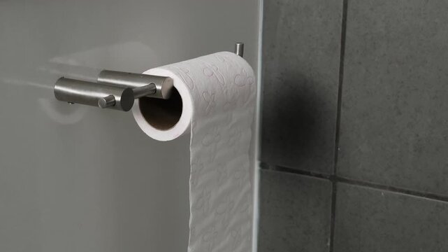 Loop stop motion of toilet paper unrolling and rolling back on a holder, bathroom interior, minimal concept of usage cycle, consumption, hygiene and daily routine