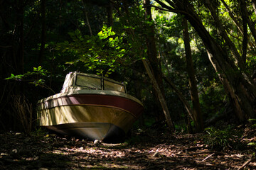 山の中に放置された船