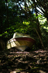 山の中に放置された船