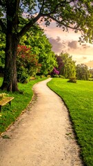 Obraz premium Winding path through a lush park, illuminated by the soft light of a warm sunset