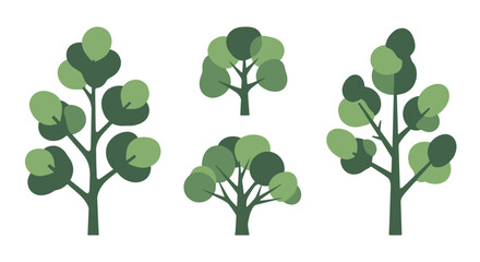 Eucalyptus Tree Line clean elegant color illustration © MD Eamon Shikder