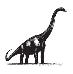 brontosaurus vector