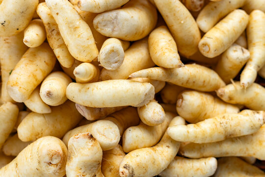 Arracacia xanthorrhiza in the traditional Colombian market