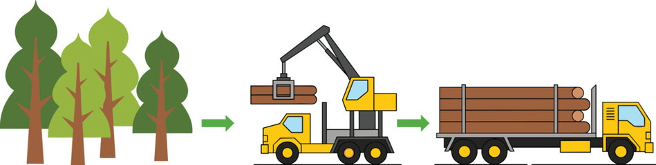 Logging process illustration, forestry timber harvesting truck transport concept, tree cutting crane loader vector, wood industry supply chain design scene