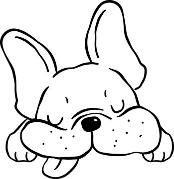 Sleeping French Bulldog Tongue Out outline Hand Drawn