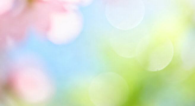 Blurred background with soft pink flowers and bokeh light effects against a blue sky