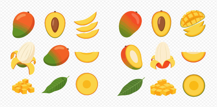 Set of fresh mango fruit illustrations, whole, half, peeled, sliced, and diced with leaves.