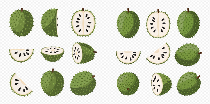 Set of fresh soursop fruit whole, half, and sliced, isolated on transparent background.