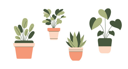 Indoor Plant Line abstract clean tone illustration