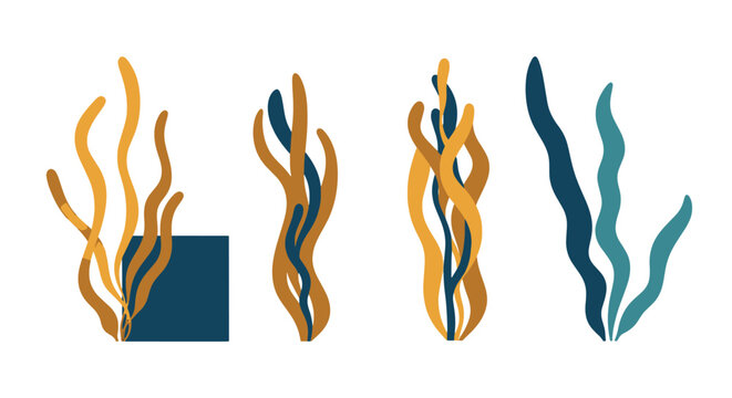 Kelp Line art vector abstract color concept