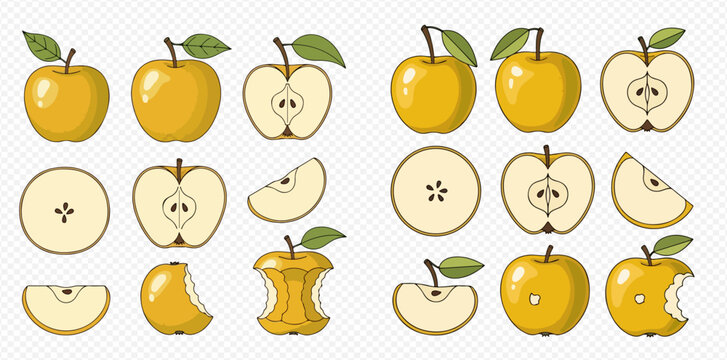 Set of yellow apple illustrations, whole, half, slices, and core, showing various stages of consumption.