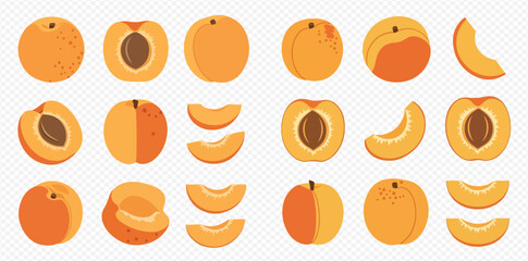 Collection of fresh apricot fruits whole, half, and sliced in various forms. © MuammarAuliyan