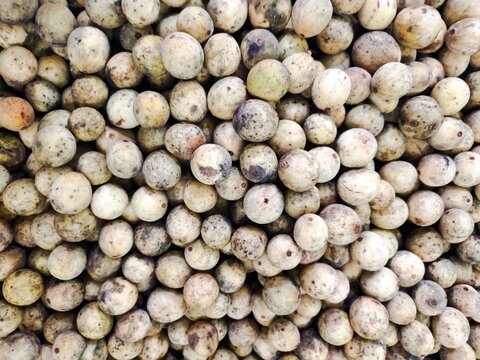 A pile of duku or lanzones or Lansium domesticum fruit in a box at the fruit market