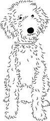 Minimalist Black and White Line Drawing of a Standing Poodle Dog
