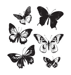 tribal butterfly logo,