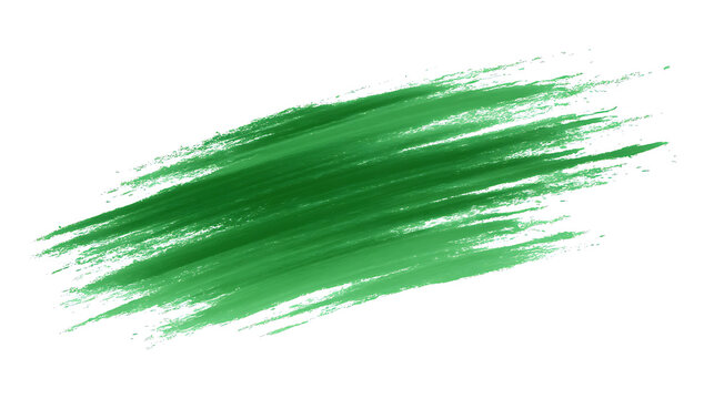 Green Brush Stroke on a Clean Canvas