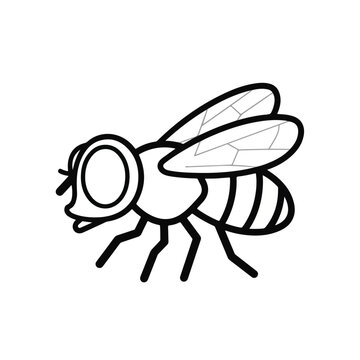 Black and white line drawing of a fly with large eyes and wings
