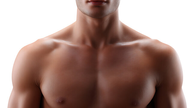 A detailed closeup of a muscular man's bare chest, shoulders and neck