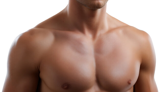 A well-defined torso showcases muscular physique, highlighting fitness and health. The image focuses on the details of the body