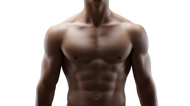 An athletic physique displaying toned muscles on the human torso. The lighting accentuates the definition of the pectoral and abdominal muscles.