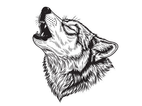 Howling wolf head engraving tattoo illustration