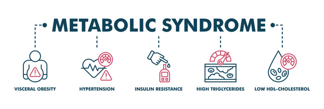 Symptoms of Metabolic Syndrome banner web color vector illustration concept with an icon of Hypertension, Insulin Resistance, High Triglycerides, Low HDL-Cholesterol, Visceral Obesity