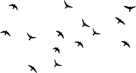 Obraz premium Flying bird silhouette vector illustration, group of fourteen animals in motion, dynamic wing positions, creative wildlife design icon for branding