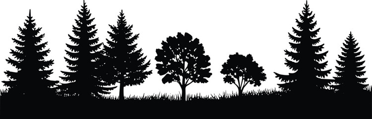 Silhouette vector illustration of diverse forest trees with grass, natural outdoor landscape artwork, decorative woodland background featuring coniferous and deciduous © Mozibur