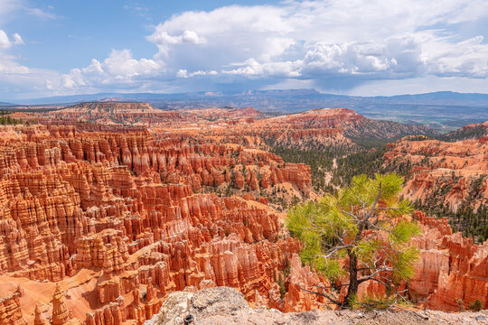 Brice Canyon and the surrounding landscape in Utah state.