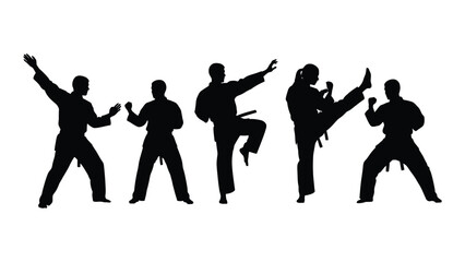 Silhouettes of martial artists performing various karate techniques and poses isolated on white background, Vector © Creative Designs