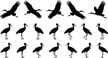 Fototapeta premium Stork and heron bird silhouette collection featuring various flying and standing poses, cad drawing flat vector illustration, isolated white background.