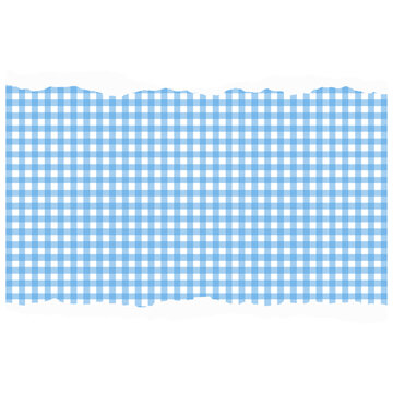 Blue Gingham Torn Paper