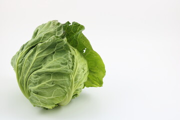 瑞々しい緑色が映える春キャベツ