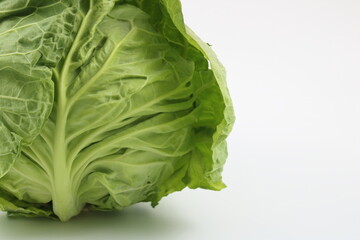 旬の春キャベツ丸ごと一玉白背景