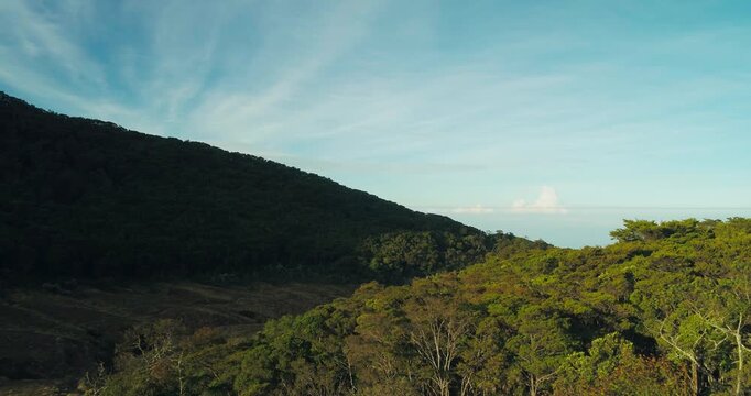 Drone Flyover of Green Mountain Ridge Near Gunung Gede