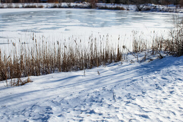 a winter landscape featuring a partially frozen body of water covered in snow, with dry reeds along the shoreline. environment background
