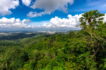 Obraz premium Panoramic nature background On a high mountain, you can see the scenery of trees, grass, and lush rice fields. While traveling on an adventure trip