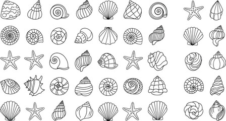 Black line icon set of various seashells, sea snails, and starfish, marine ocean life © Heyy there