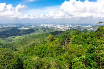 Fototapeta premium Panoramic nature background On a high mountain, you can see the scenery of trees, grass, and lush rice fields. While traveling on an adventure trip