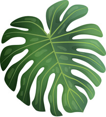 Green Leaf Isolated on Transparent Background PNG Decorative Summer Nature