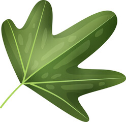 Green Leaf Isolated on Transparent Background PNG Decorative Summer Nature