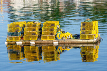 yellow lobster traps