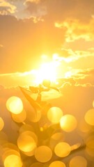 Sun shines behind plant and clouds, with out-of-focus lights in foreground