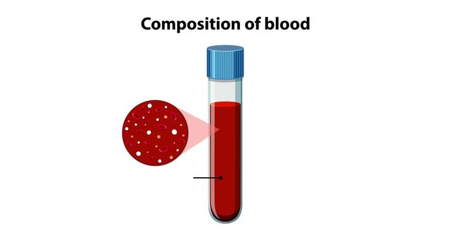 Medical Diagram Explaining the Composition of Whole and Centrifuged Blood