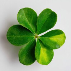 Green Shamrock Clover Flower Isolated on White Background for St Patricks Day Holiday Branding and Traditional Irish Cultural Decoration in Studio Setting