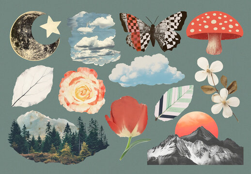 Nature Inspired Collage Element Set