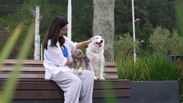 Blue merle Border Collie enjoys a day at the park