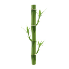Fresh Green Bamboo Stalk with Young Leaves